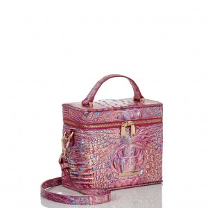 Pink Women's Brahmin Chantal Crossbody Bags | 5264TCGDZ