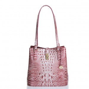 Pink Women's Brahmin Fiora Bucket Bags | 7925LBGYJ