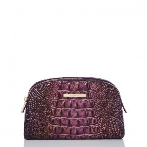 Purple Women's Brahmin Dany Travel Bags | 5893AGOCU