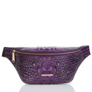 Purple Women's Brahmin Harker Crossbody Bags | 2051SOPXA