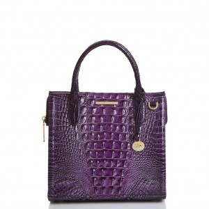 Purple Women's Brahmin Small Caroline Satchel Bags | 4057BNYFZ