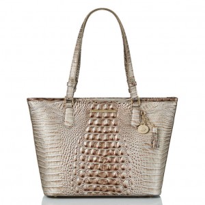 Silver Women's Brahmin Medium Asher Tote Bags | 1205WUQBG