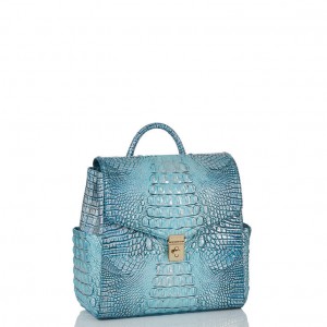 Turquoise Women's Brahmin Liz Backpacks | 6831CUJXF