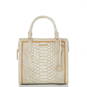 White Women's Brahmin Small Caroline Satchel Bags | 1560BKYHM