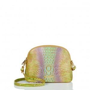 Yellow Women's Brahmin Small Georgina Crossbody Bags | 7193IRZEM