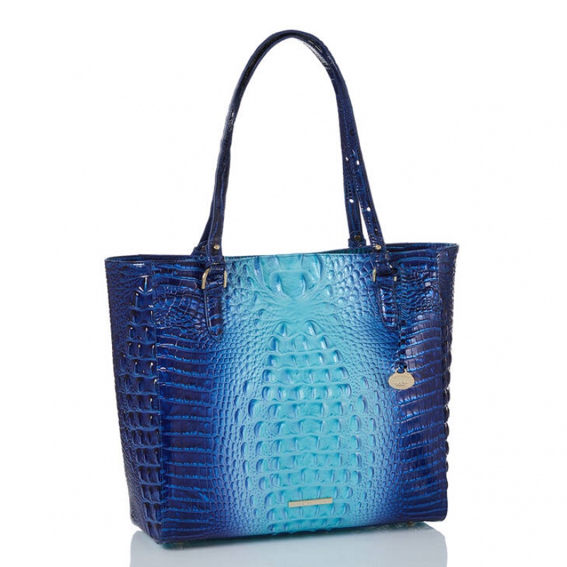 Blue Women's Brahmin April Tote Bags | 2107WNSVM