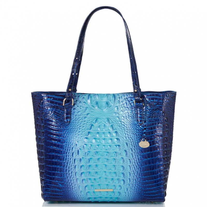 Blue Women\'s Brahmin April Tote Bags | 2107WNSVM