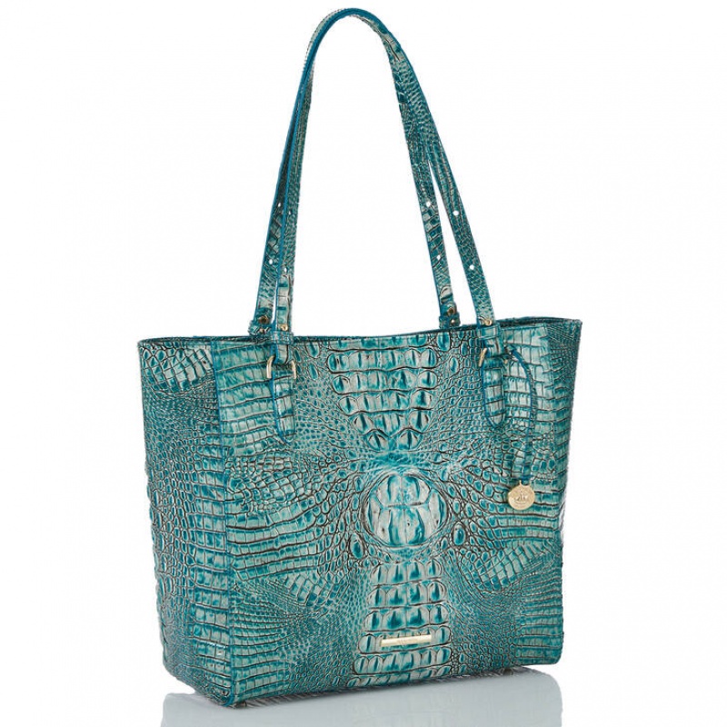 Blue Women's Brahmin April Tote Bags | 3862CVSDP