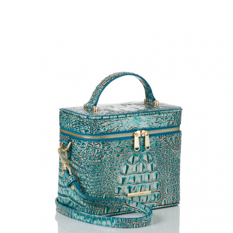 Blue Women\'s Brahmin Chantal Crossbody Bags | 9615YBWEV