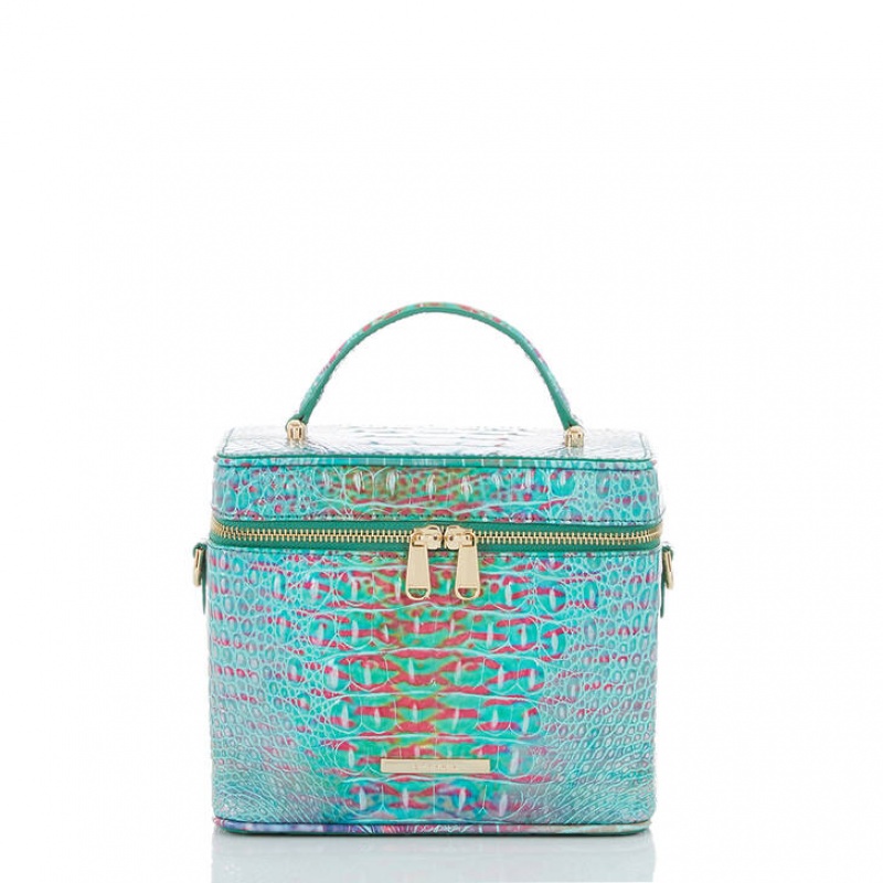 Blue Women's Brahmin Chantal Crossbody Bags | 0491YELOV