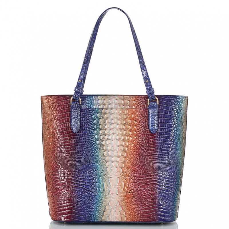 Blue Women's Brahmin Ezra Tote Bags | 8125XJEQB