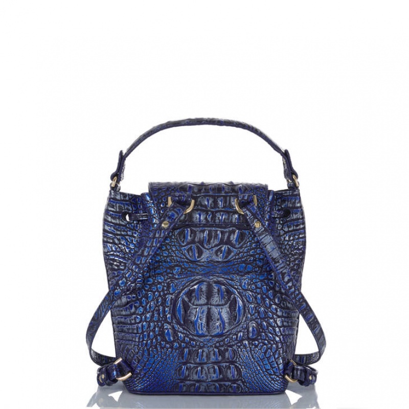 Blue Women's Brahmin Kendall Backpacks | 2095UPYXV