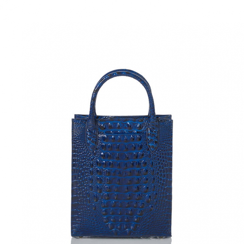 Blue Women's Brahmin Moira Tote Bags | 5603HPVBC