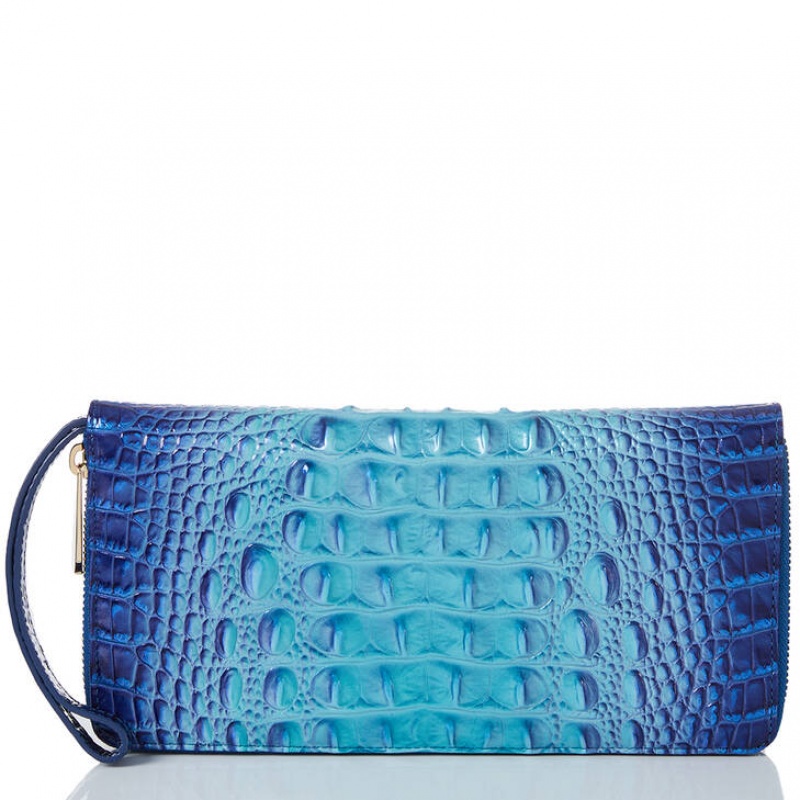 Blue Women\'s Brahmin Skyler Clutch Bags | 6428XYDEH