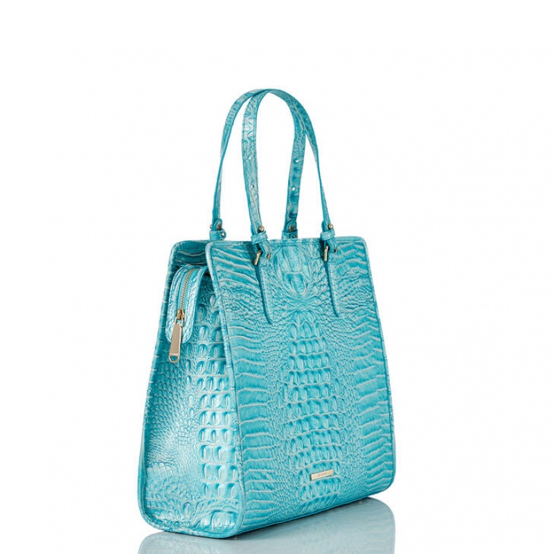 Blue Women's Brahmin Tia Tote Bags | 4983GAKPE