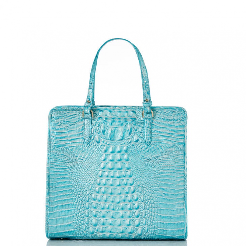 Blue Women's Brahmin Tia Tote Bags | 4983GAKPE