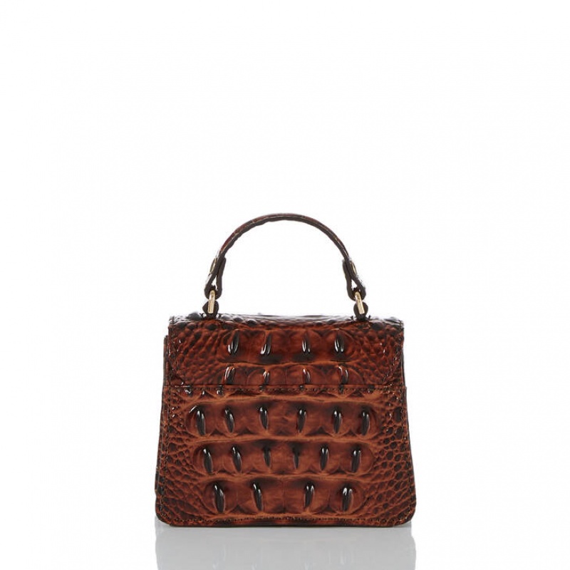 Brown Women's Brahmin Arietta Crossbody Bags | 6237AVZWH