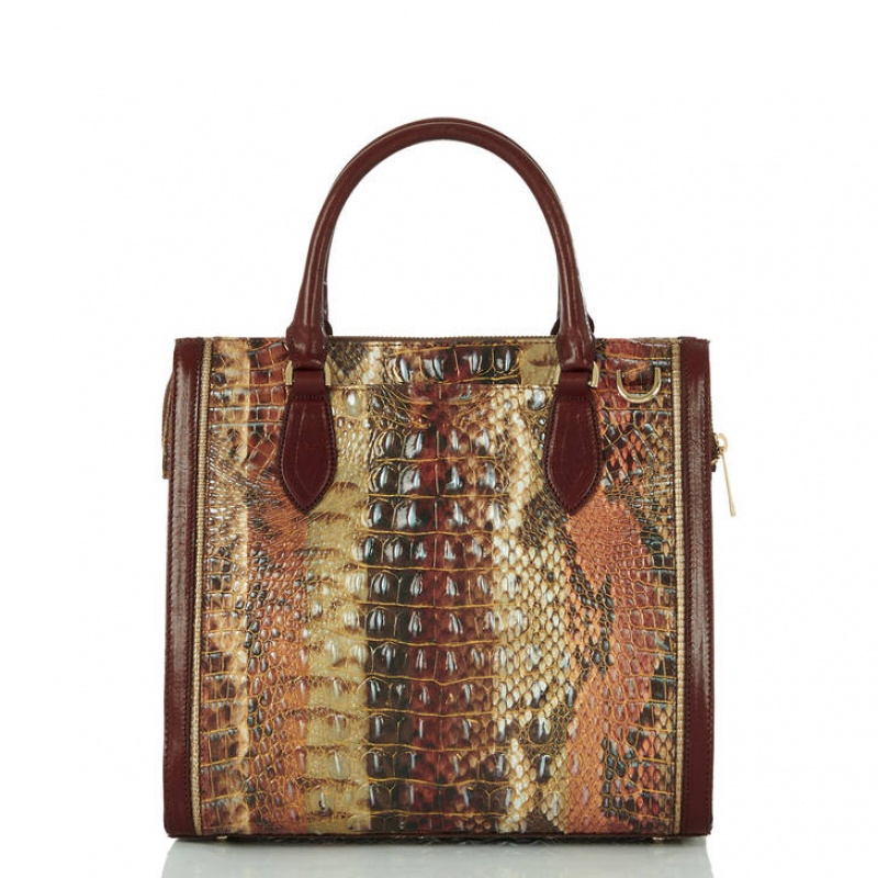 Brown Women's Brahmin Caroline Satchel Bags | 6973SJPVF