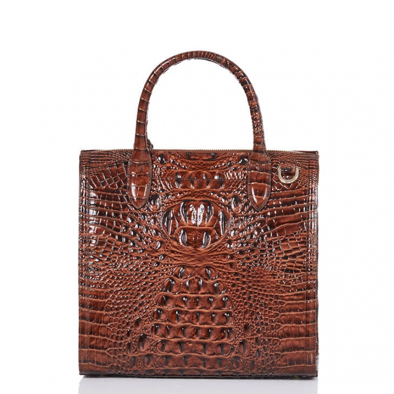 Brown Women's Brahmin Caroline Satchel Bags | 3096SDLUI