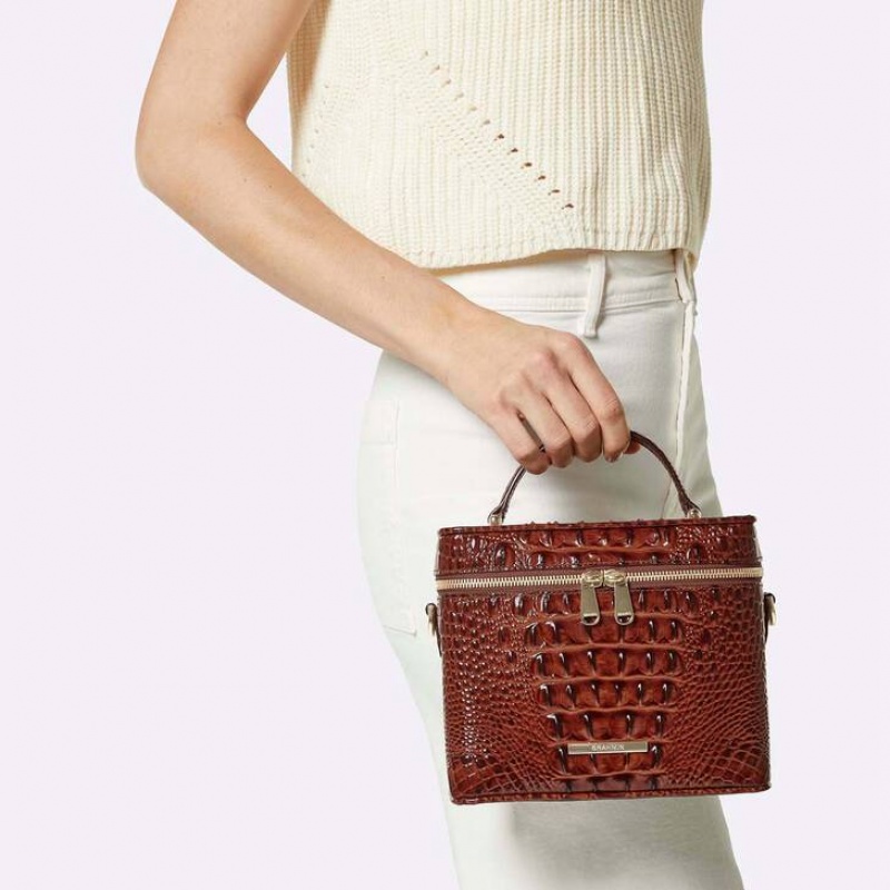 Brown Women's Brahmin Chantal Crossbody Bags | 1275PHFXK