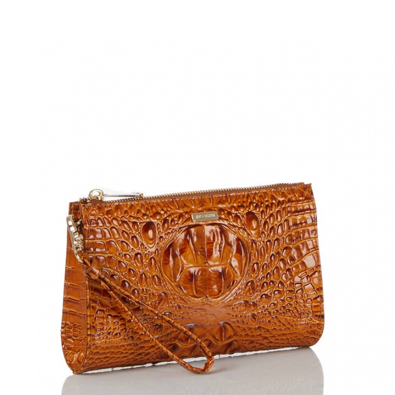 Brown Women's Brahmin Daisy Clutch Bags | 8945WLPIO