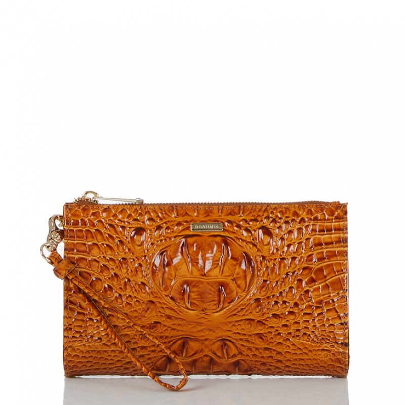 Brown Women\'s Brahmin Daisy Clutch Bags | 8945WLPIO