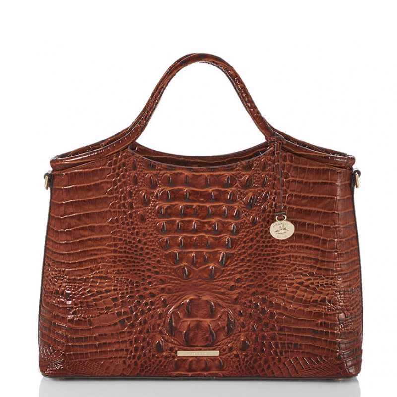 Brown Women\'s Brahmin Elaine Satchel Bags | 9073SDGBV