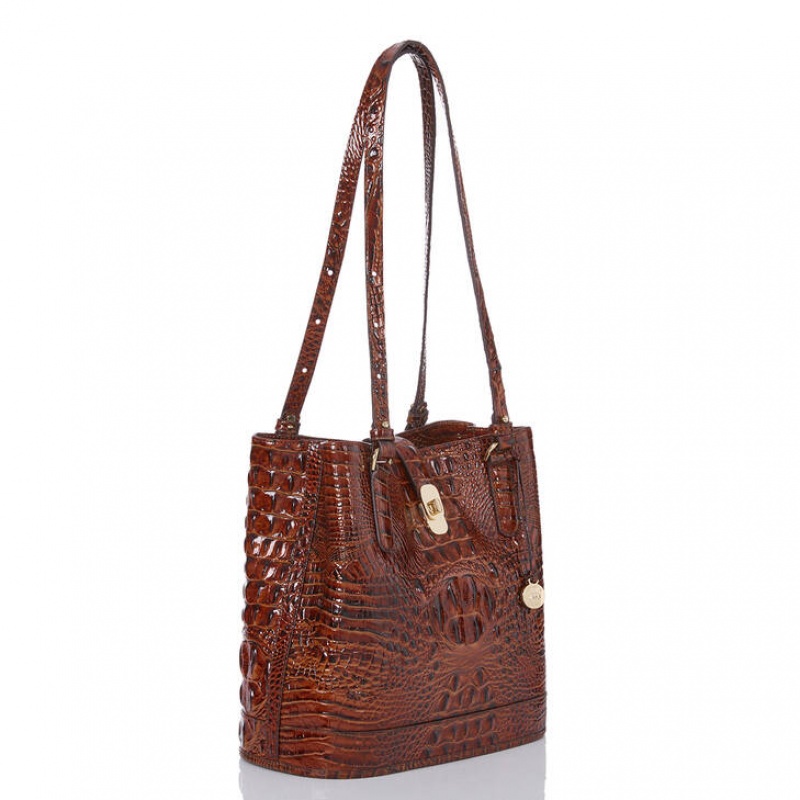 Brown Women's Brahmin Fiora Bucket Bags | 1524DQFCH