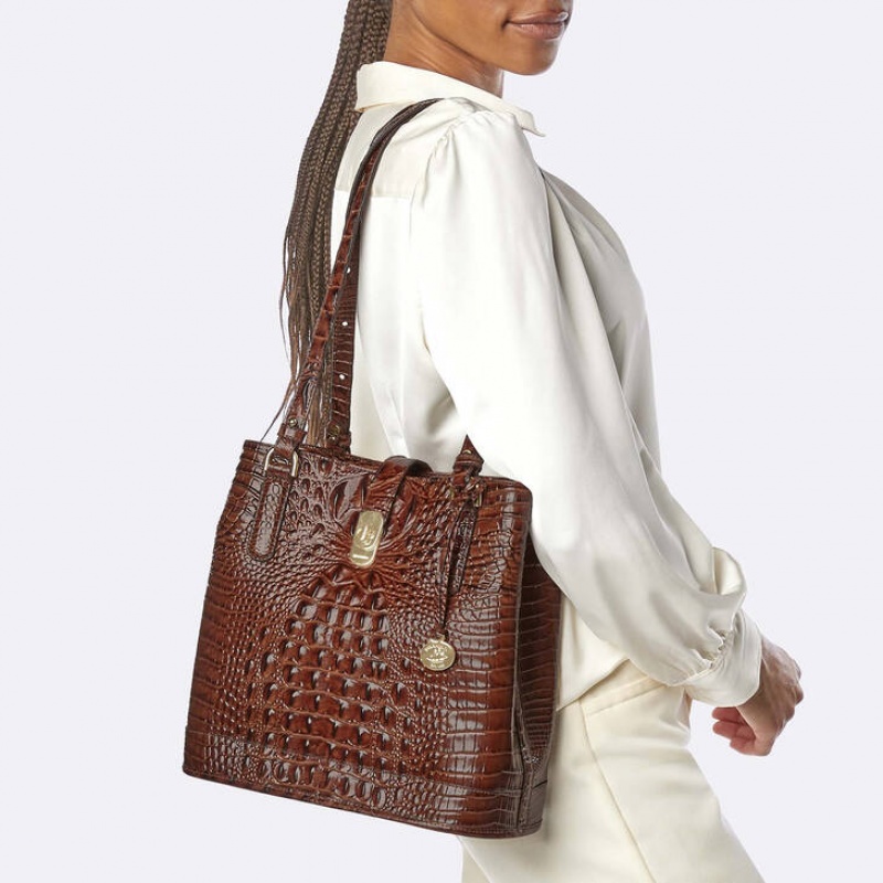 Brown Women's Brahmin Fiora Bucket Bags | 1524DQFCH