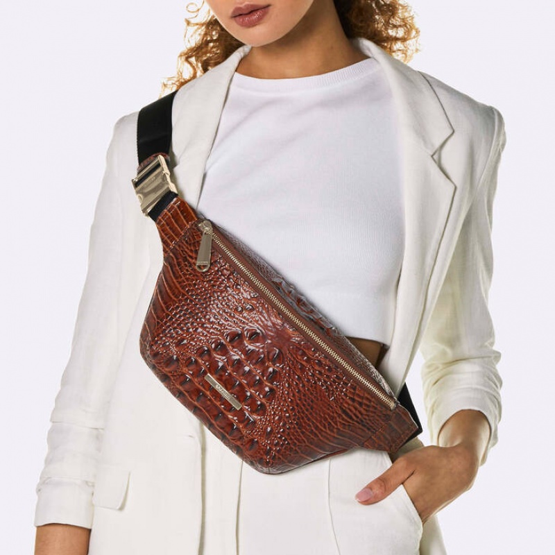 Brown Women's Brahmin Harker Crossbody Bags | 8143XGUWR