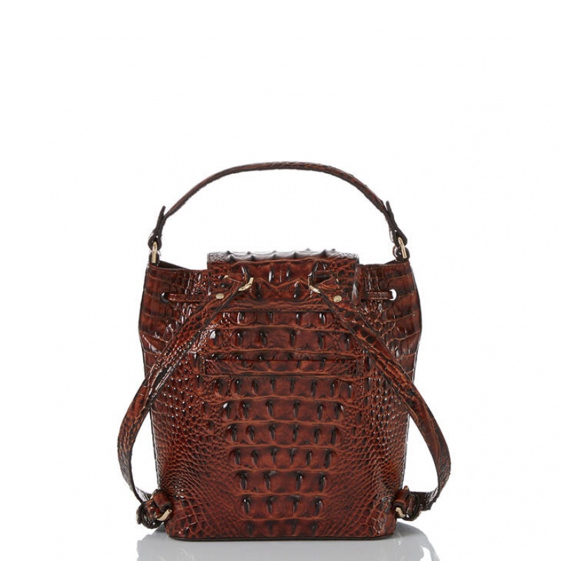 Brown Women's Brahmin Kendall Backpacks | 6495KHONP