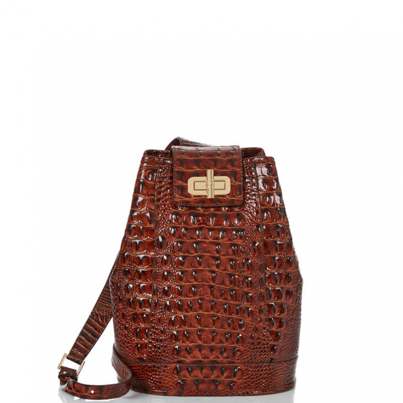 Brown Women\'s Brahmin Maddie Bucket Bags | 5149WOTBM