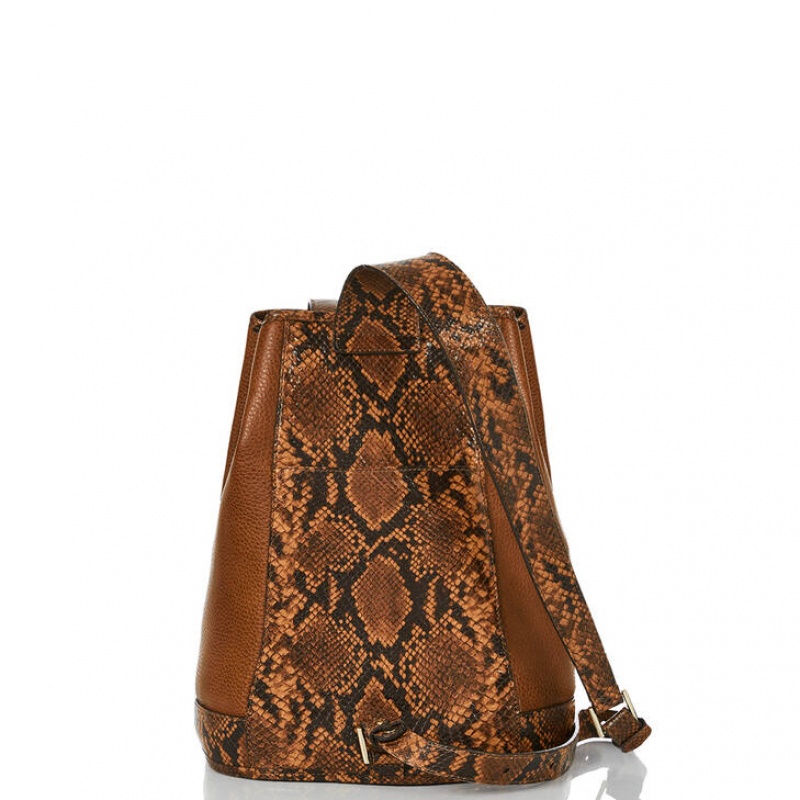 Brown Women's Brahmin Maddie Bucket Bags | 2970ROXHB