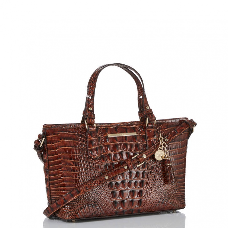 Brown Women's Brahmin Mini Asher Satchel Bags | 3207BZIAV