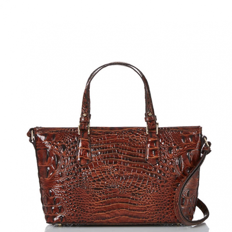 Brown Women's Brahmin Mini Asher Satchel Bags | 3207BZIAV