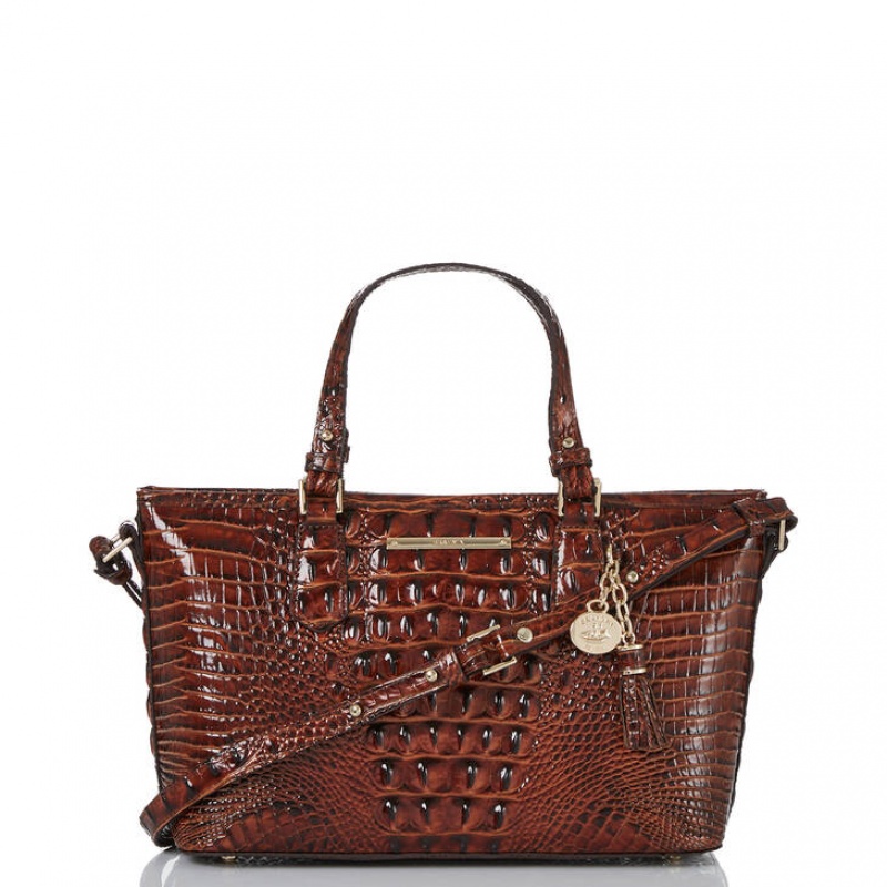 Brown Women\'s Brahmin Mini Asher Satchel Bags | 3207BZIAV