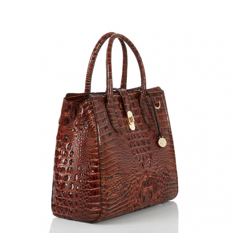 Brown Women's Brahmin Nakita Satchel Bags | 0548MJATE