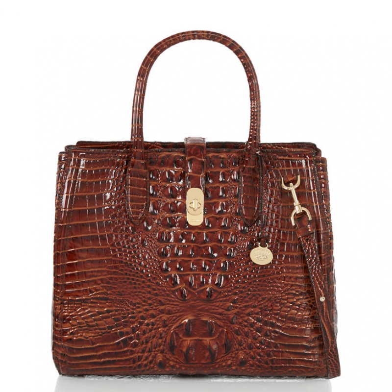 Brown Women's Brahmin Nakita Satchel Bags | 0548MJATE