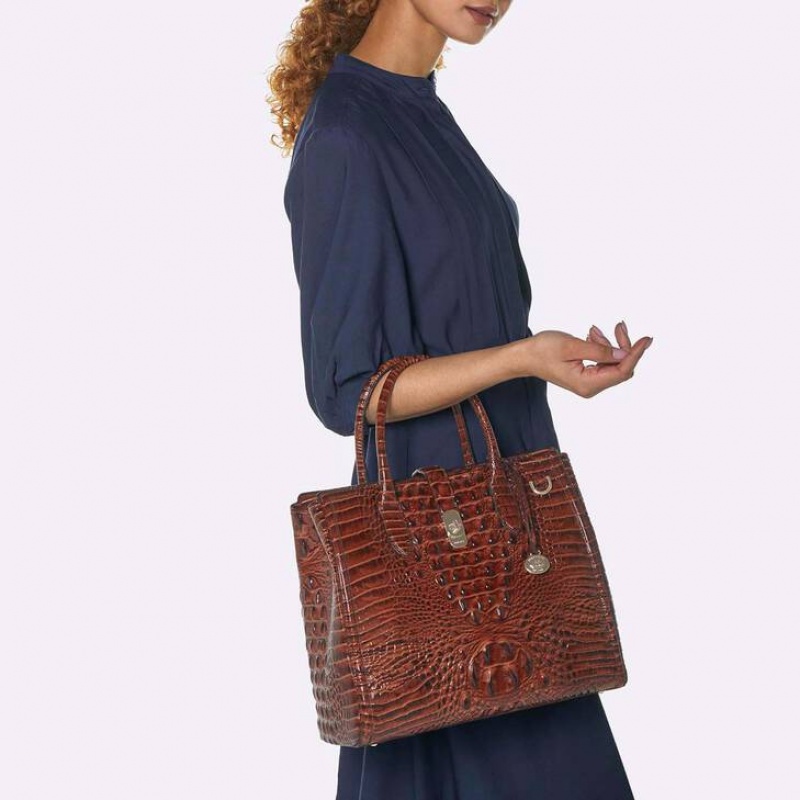 Brown Women's Brahmin Nakita Satchel Bags | 0548MJATE