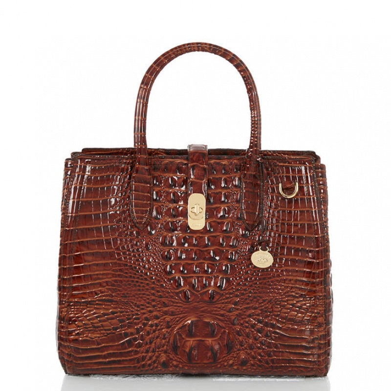 Brown Women\'s Brahmin Nakita Satchel Bags | 0548MJATE