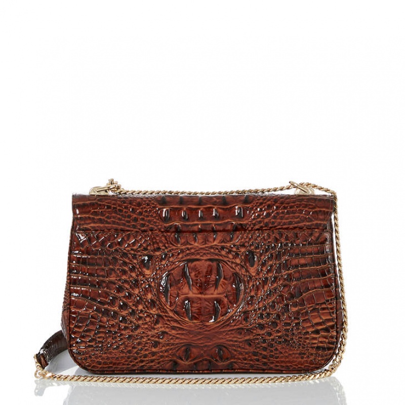 Brown Women's Brahmin Rosalie Crossbody Bags | 2369SWDVM