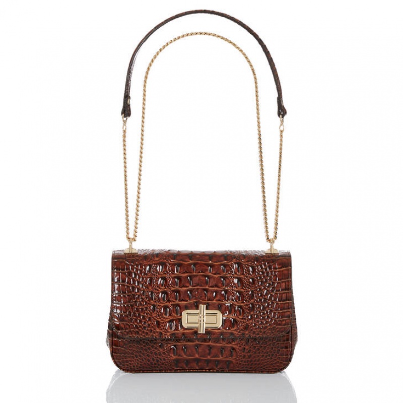 Brown Women's Brahmin Rosalie Crossbody Bags | 2369SWDVM