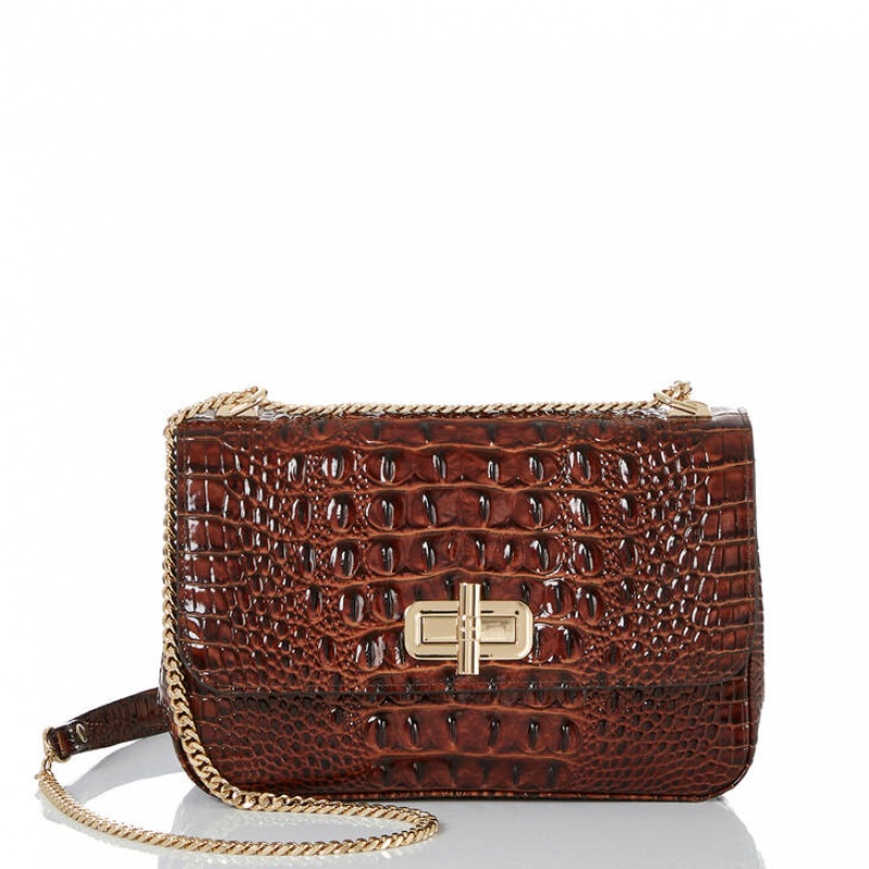 Brown Women\'s Brahmin Rosalie Crossbody Bags | 2369SWDVM