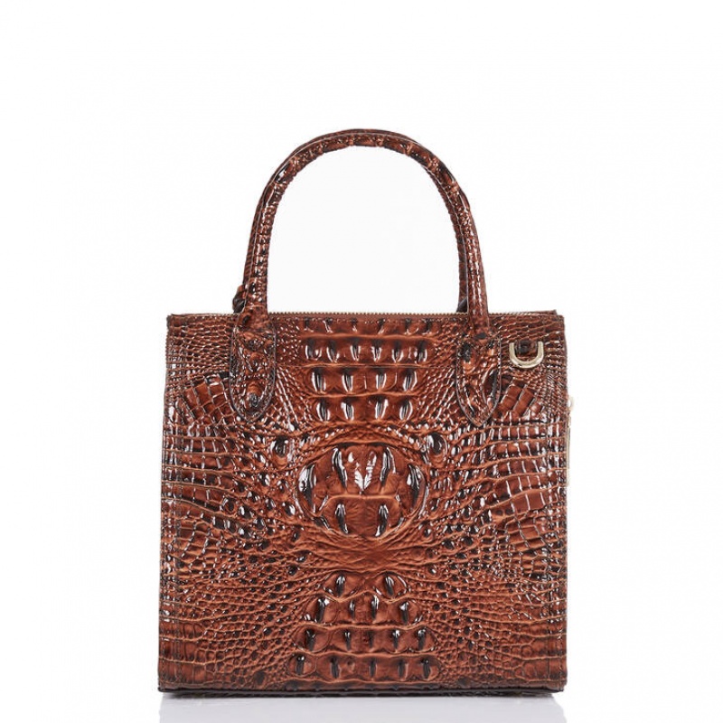 Brown Women's Brahmin Small Caroline Satchel Bags | 9485PTVRK