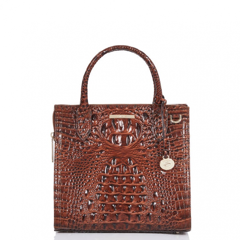 Brown Women\'s Brahmin Small Caroline Satchel Bags | 9485PTVRK