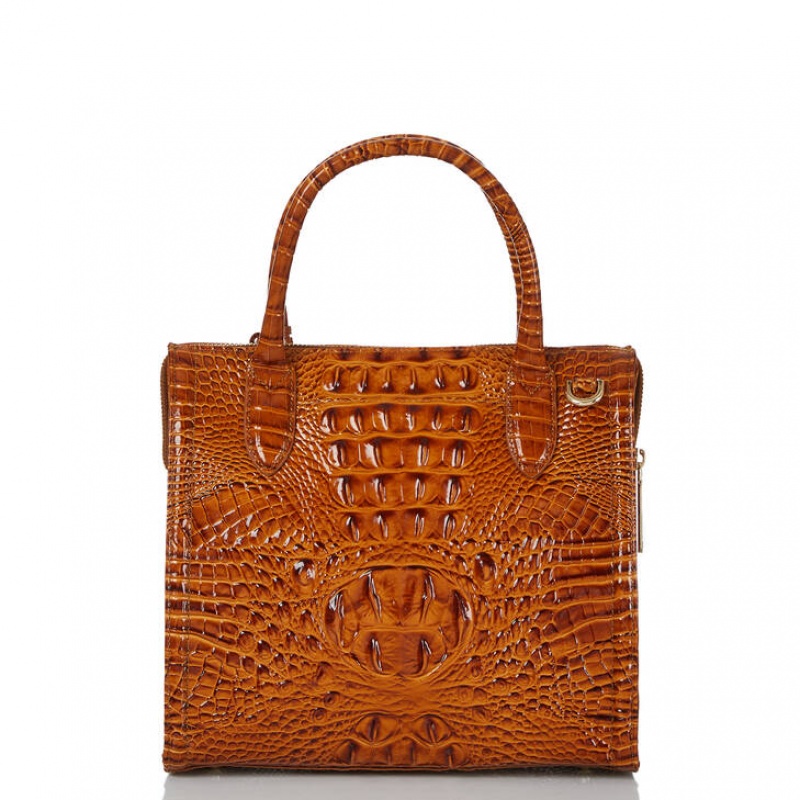 Brown Women's Brahmin Small Caroline Satchel Bags | 2637GZKNW