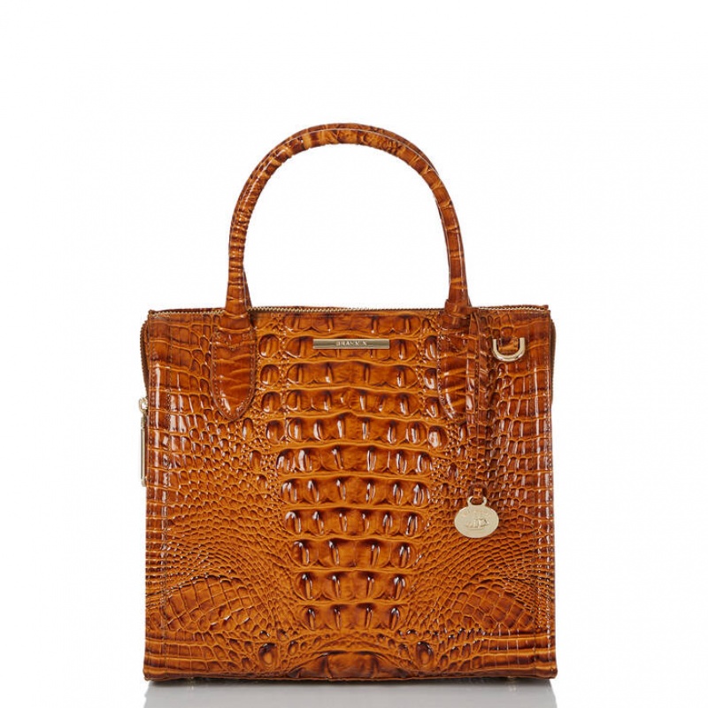 Brown Women\'s Brahmin Small Caroline Satchel Bags | 2637GZKNW