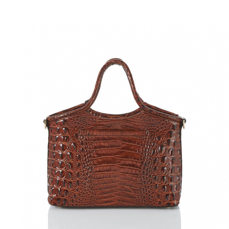 Brown Women's Brahmin Small Elaine Crossbody Bags | 0157IDUCK