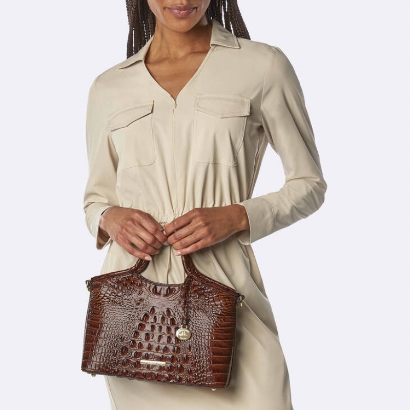 Brown Women's Brahmin Small Elaine Crossbody Bags | 0157IDUCK