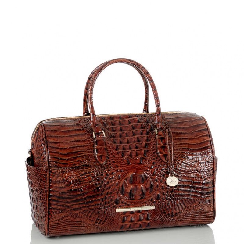 Brown Women's Brahmin Spencer Travel Bags | 1806ILTXE